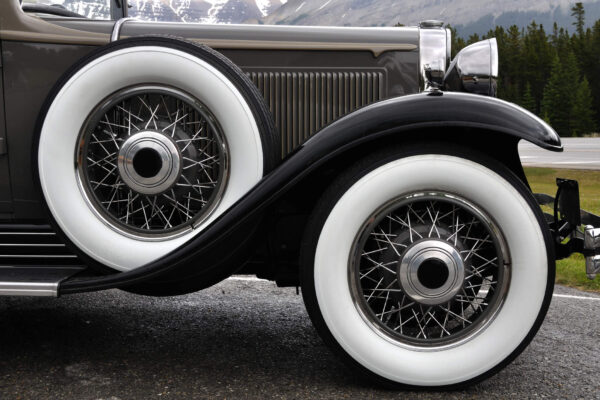 dreamstime_m_20676303